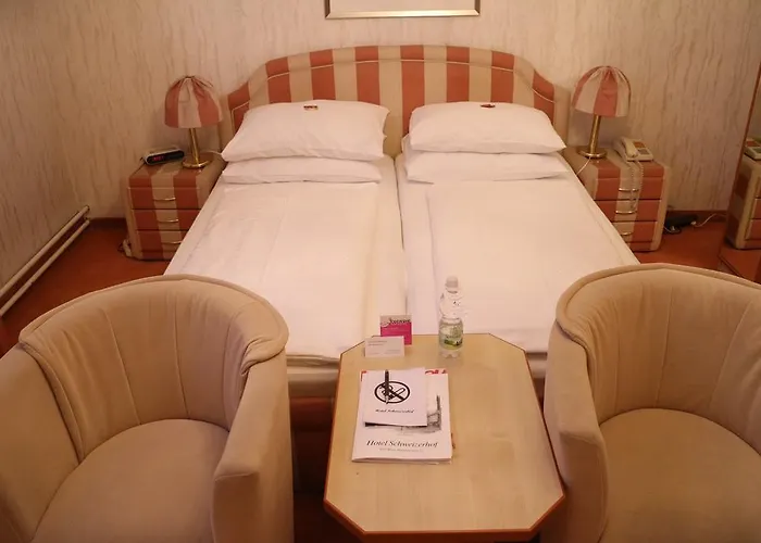Hotel Schweizerhof 3*